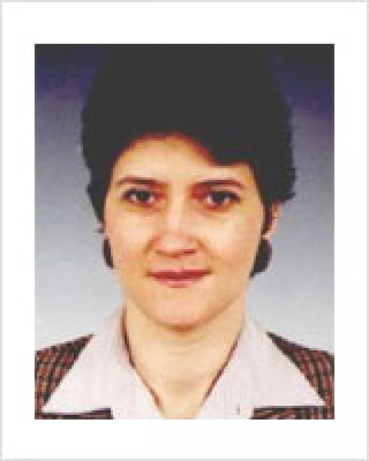 Androniceanu Armenia